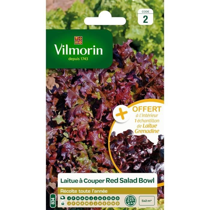 Graines Laitue à Couper Vilmorin - Salade Bol Vert - Variété Rustique Et Productive