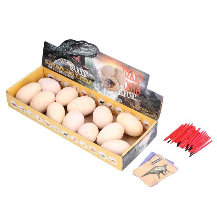 Kit De Fouille 12 œufs De Dinosaures Lumineux – Archéologie, Cartes éducatives, Cadeau 6-8 Ans