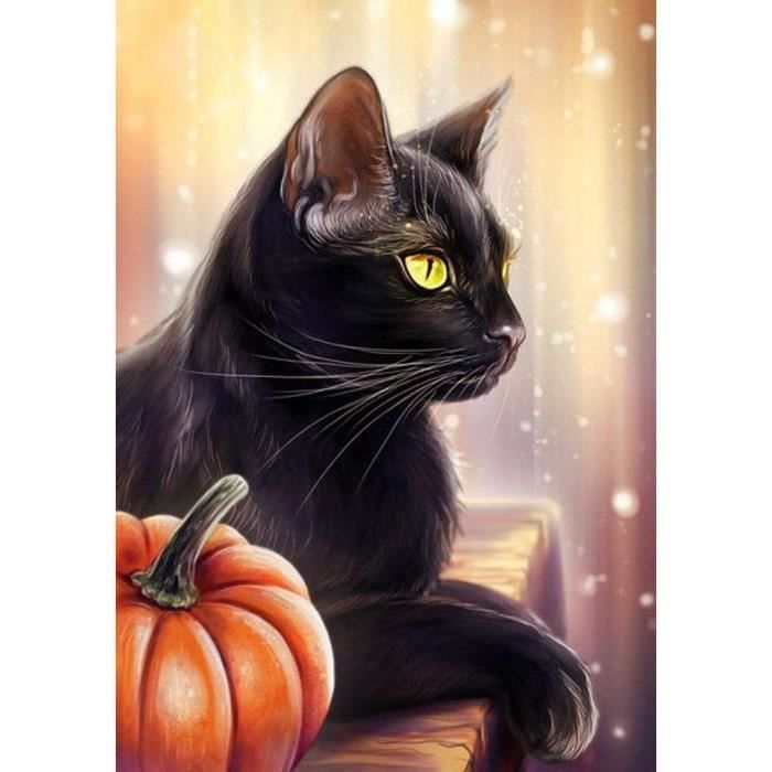 Chat Noir 5d Diy Full Drill Diamond Painting Artisanat Peinture Diamant Kit Complet Point De Croix Broderie Artisanat Pe Cdiscount Maison