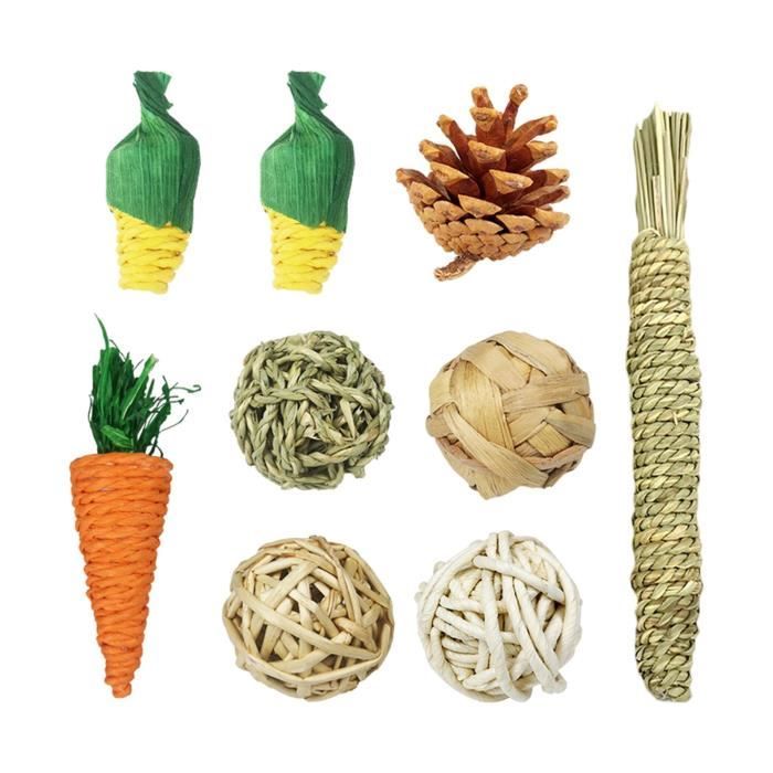 9 pièces lapin à mâcher jouets pour dents naturel cochon d'inde accessoires Cage lapins broyage jouets ensemble