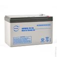 NX - Batterie plomb AGM NX 7-12 Standby 12V 7Ah F4.8-1