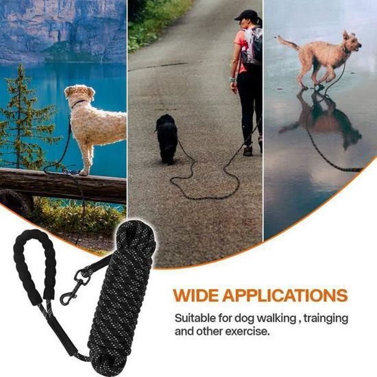 Laisse pour chien - Laisse de dressage en nylon réfléchissant avec
