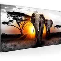Tableau Décoration Murale 100x40 cm Runa art 007612a Afrique L'Éléphant - 1 Panneau Deco Toile Prêt à Accrocher - Gris Jaune