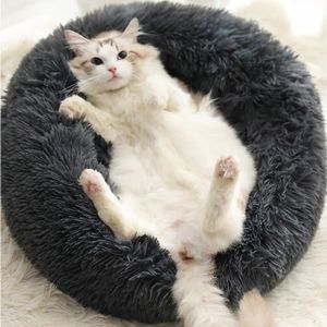 Coussin Apaisant Chat Cdiscount Coussin Apaisant Chat Cdiscount