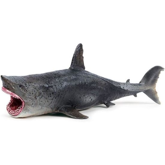 Illustration D'un Requin Mégalodon, Créature Marine Préhistorique Illustration D'un Requin Mégalodon, Créature Marine Préhistorique