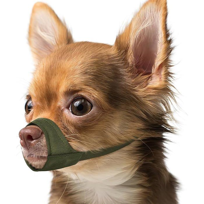 Muselière pour museaux Courts pour Chihuahua Shih tzu Boxeur américain muselière en Tissu Doux S [Snout Cir: 5.5-7] VERT MUSELIERE
