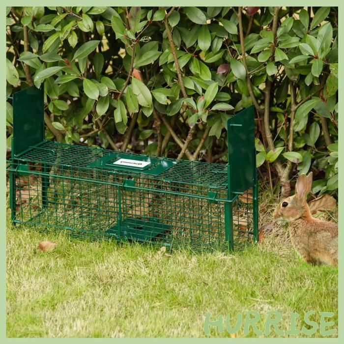 Cocosity Piège Vivant Cage Attrape 60 X 18 X 20 Cm Piège Fouine Pour Martres Rats Souris - 2 Entrées + Poignée - Métal Vert