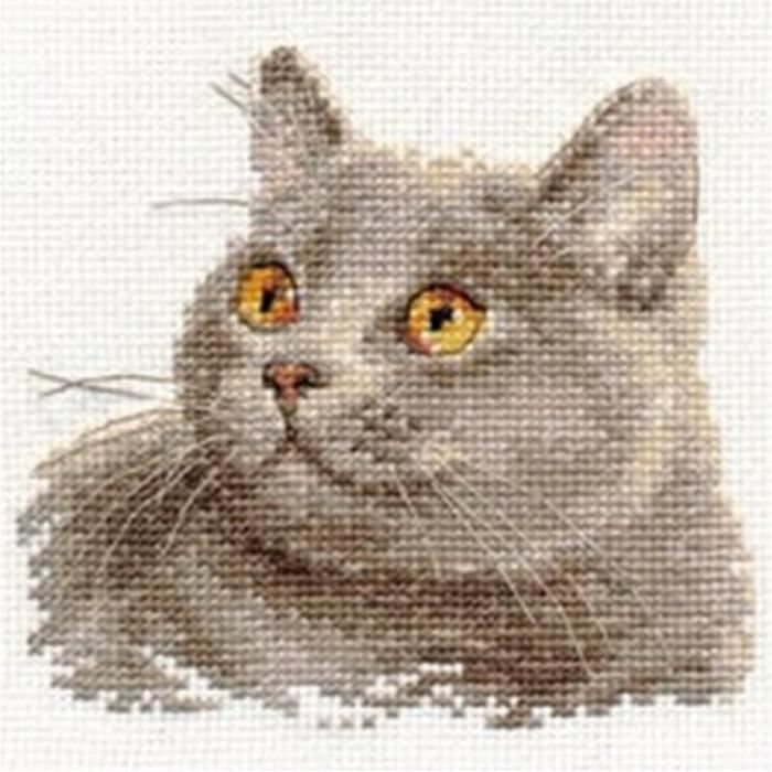 Alisa Kit Au Point De Croix Chat Britannique Cdiscount Beaux Arts Et Loisirs Creatifs Alisa Kit Au Point De Croix Chat Britannique Cdiscount Beaux Arts Et Loisirs Creatifs