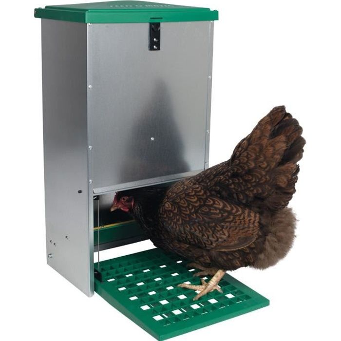 LILIIN Mangeoire automatique avec couvercle pour poules distributeur  automatique à pédale en acier 10 kg - Cdiscount