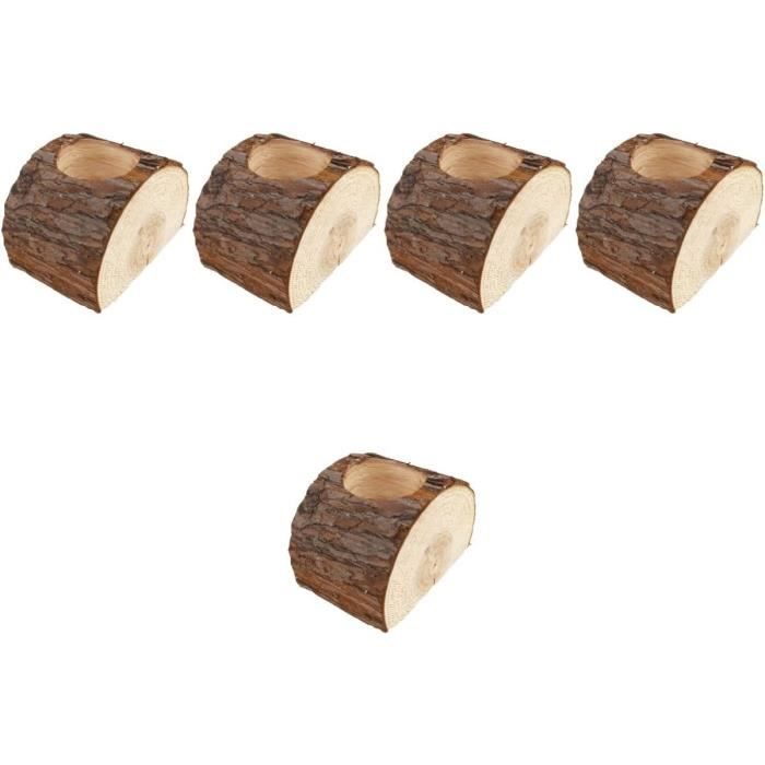 Plante en bois brésilien porte-bonheur – Mini bois hydroponique brésilien – Grand décor de bien-être pour la prospérité – Facile d'entretien, plante d' intérieur à faible luminosité pour la maison et