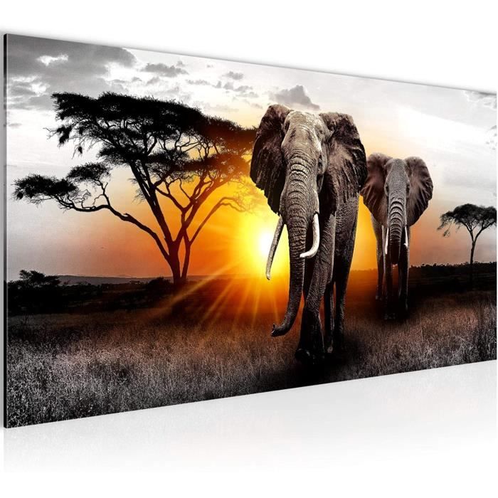 Tableau Décoration Murale 100x40 cm Runa art 007612a Afrique L'Éléphant - 1  Panneau Deco Toile Prêt à Accrocher - Gris Jaune - Cdiscount Maison