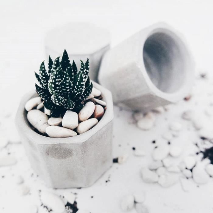 Lot De 14 Moules Silicone 3D Succulentes & Fleurs – Roses & Cactus Pour Bougies, Savons, Chocolats, Résine & Gâteaux