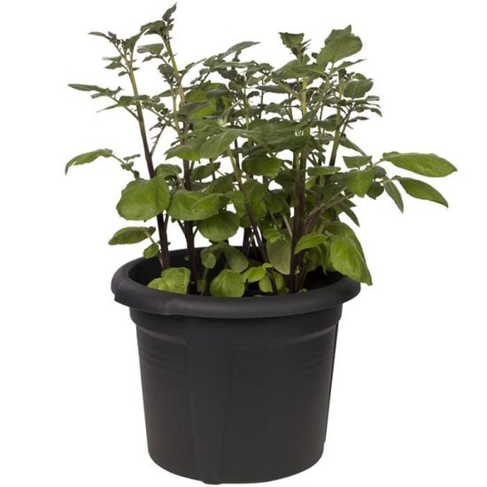Pot De Fleur Potager Avec Insert Pour Les Terrasses Et Balcon Double Paroie O 32 Cm Achat Vente Jardiniere Bac A Fleur Pot De Fleur Potager Avec Cdiscount