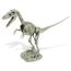 Dr Steve chasseurs 21 Pièce Kids 30/" Replica T-Rex Dinosaures Squelette Modèle Kit 6+