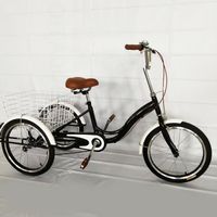 Tricycle 20" 3 roues vélo adulte senior tricycle adulte + panier