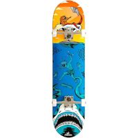 Skateboard - Crandon - Deck + papier de verre + camion + roues - Bois d'érable canadien 7 plis