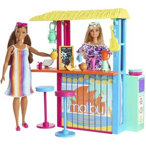 MAISON POUPÉE Barbie Aime les Oceacuteans coffret pour poupeacutee Paillote de plage avec plus de 18 accessoires fabriqueacute agrave parti[224]