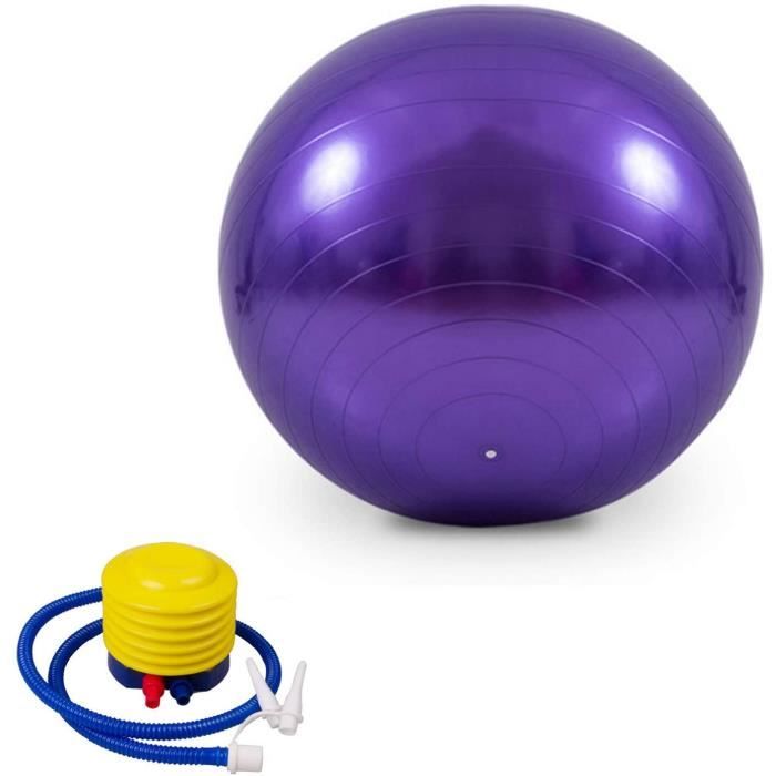 Swiss Ball avec Pompe à air, Ballon Grossesse, Chaise Ballon, Ballon de Gym, Ballon Pilates, Ballon Fitness 65 cm, Anti-éclatem 1263