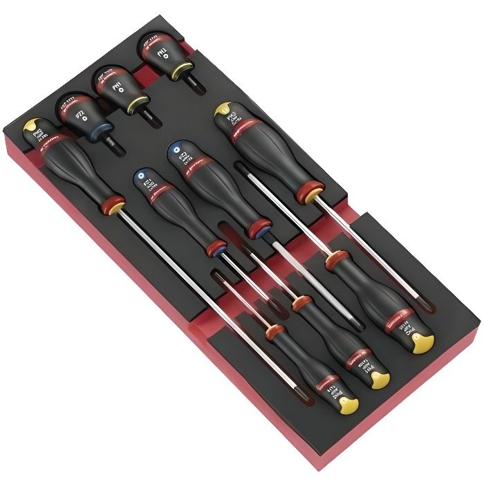 Module de 10 Tournevis Protwist en plateau mousse Facom MODM.AT5PB