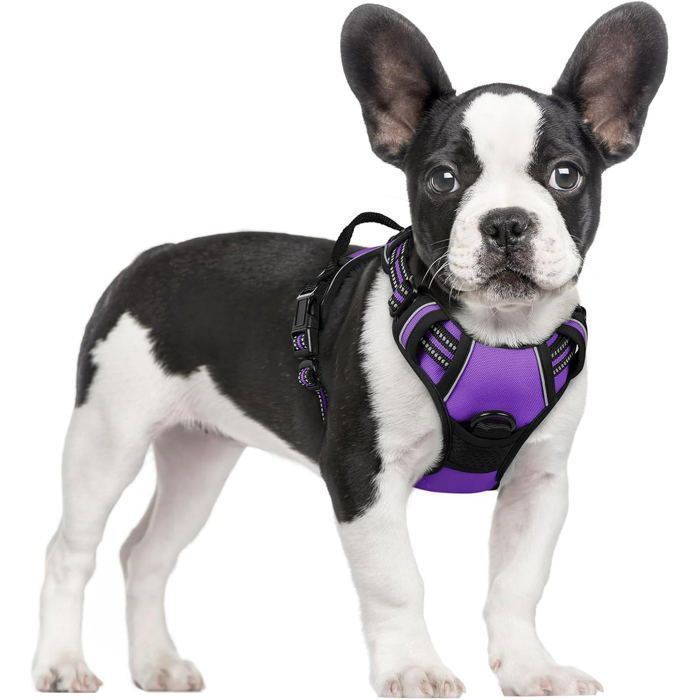 Meilleurs prix pour Harnais Chien Anti Traction Violet XS Harnais Chien avec Poignée Facile à Mettre Gilet Réglable Réfléchissant pour Petit Chien
