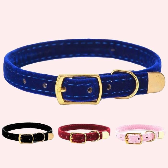 Comparer les prix de Collier de sécurité solide pour chat 1 pièce - Noir