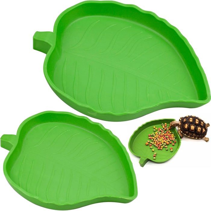 Bol eau et nourriture - 2pcs Pour tortue reptile lézard scorpion - Vert Cuneary