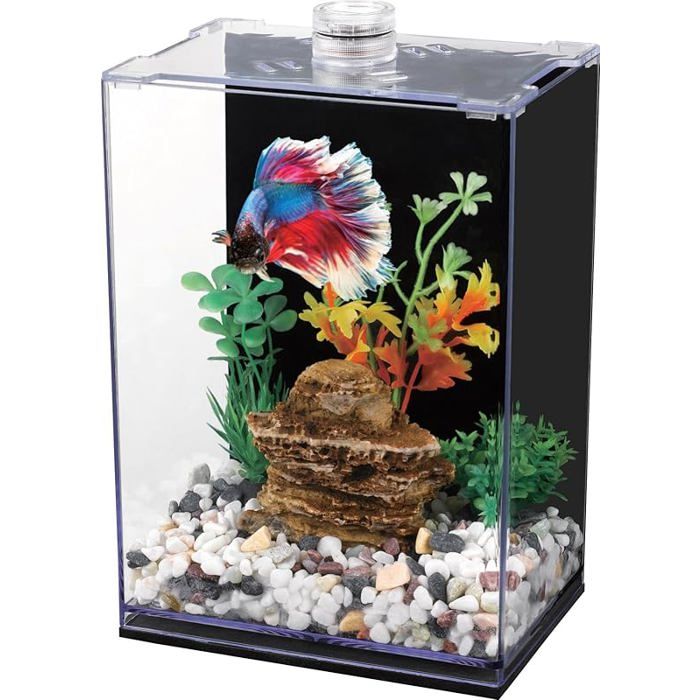 Comparer les prix de Vivarium pour poisson combattant avec éclairage LED 15x10x20 cm Aquarium en acrylique avec couvercle et fond noir AQUARIUM