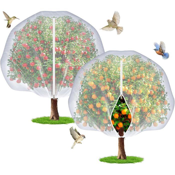 Lot 2 Filets Protection Arbres Fruitiers 8x8 Ft Fermeture clair Cordon lot-2-filets-protection-arbres-fruitiers-8x8-ft-fermeture-clair-cordon
