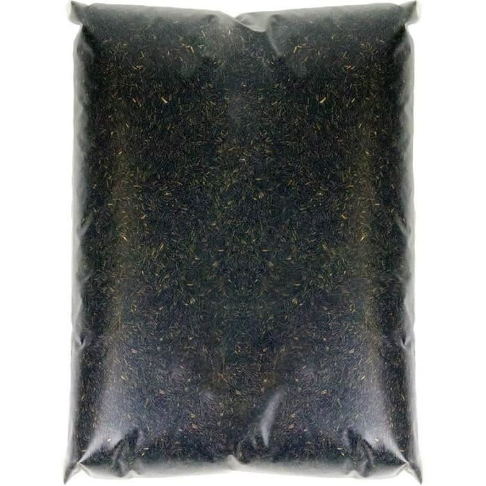 SQUAWK Graines de Niger - Nourriture de qualité pour oiseaux sauvages à haute énergie pour le jardin et les pinsons. 5kg