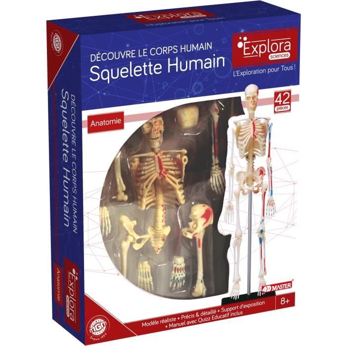 Jeu Anatomie 2000 - Modèle Humain échelle 1:3 (59 Cm) D'occasion
