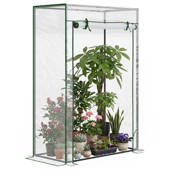 Serre de jardin balcon - Outsunny - bâche renforcée PVC châssis acier porte zippée légumes fleurs - 100x50x150cm - blanc