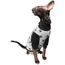 chandail pour chat sphynx