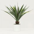 Aloe vera artificiel 55 cm-1
