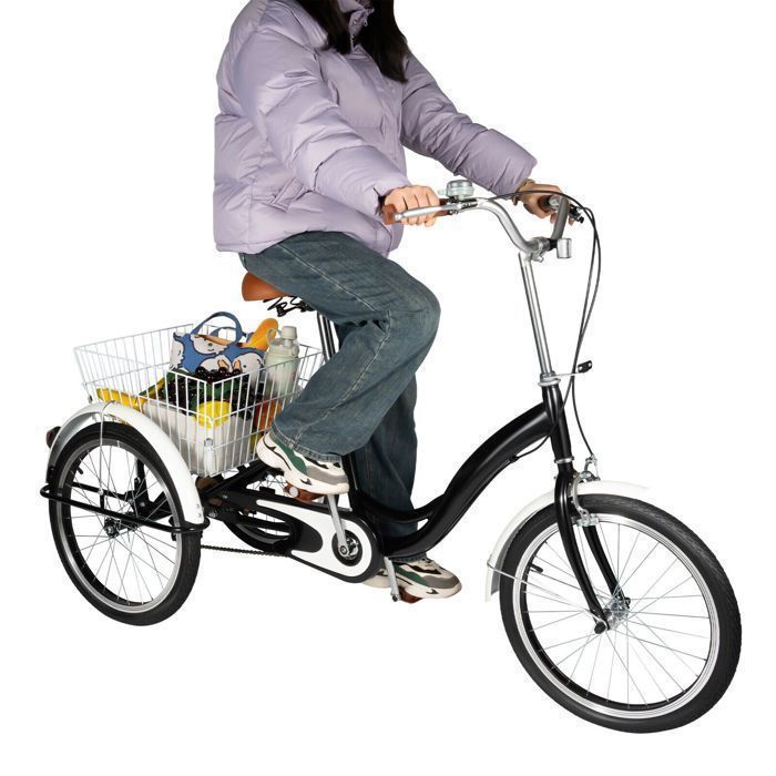 Tricycle Adulte P2R 20 Pouces – 5 Vitesses, Panier, 100 Kg – Bleu, Notice En Français