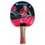 Fox TT Argent 2 étoile tennis de table Set-Rouge