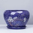 Rishx Bleu d'europe Céramique Pot de Fleurs avec Drainage Trou, en céramique émaillée de Fleurs Container Bureau Cache-Pot[S518]-0