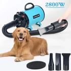 DASINKO Toilettage Séchoir Pulseur pour Chien, 2800W Professionnel Sèche-Poils pour Animaux De Compagnie avec Vitesse Et Chaleur Ajustable