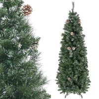 Sapin De Noël Nordmann En Pot - 150 Cm, Vivant Et Frais | Aiguilles Qui Ne Tombent Pas, Réutilisable Année Après Année