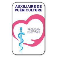 Autocollant Sticker - Vignette Caducée 2023 pour Pare Brise en Vitrophanie - V1 Auxiliaire de Puériculture 