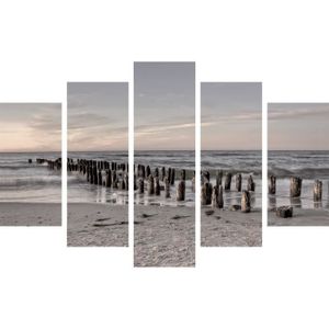 Tableaux Multi Panneaux 5 Toiles Achat Vente Pas Cher