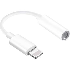 Ineck - INECK - Cable auxiliaire voiture iPhone, AUX Male a Lightning Cable  Jack 3,5 mm Fiche Audio Stereo - Câble antenne - Rue du Commerce