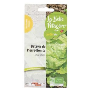 GRAINE - SEMENCE Graines à semer - Batavia de Pierre-Bénite - 0,5 g