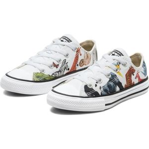 converse kinder 27,Quality assurance,protein-burger.com