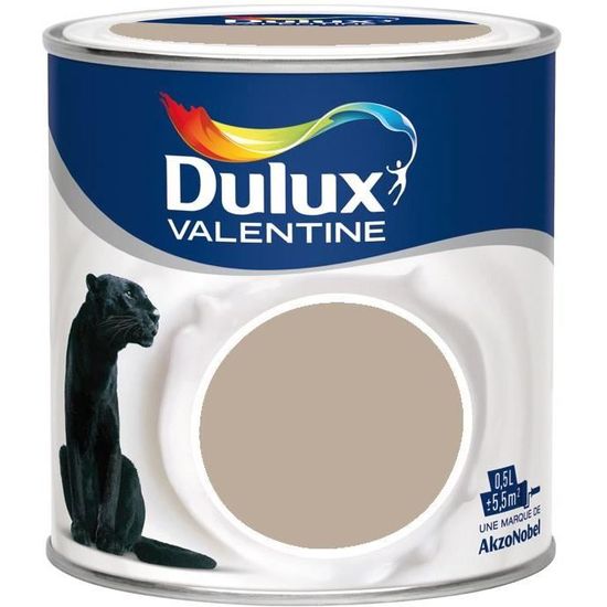 Peinture Marron Glace Et Lin