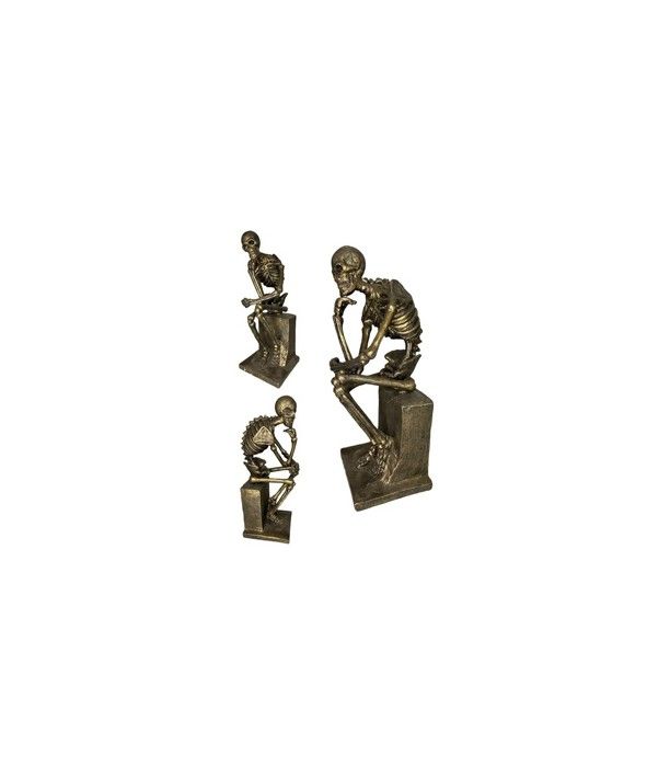 Statues in Focus : The Thinker (French Le Penseur) is a bronze