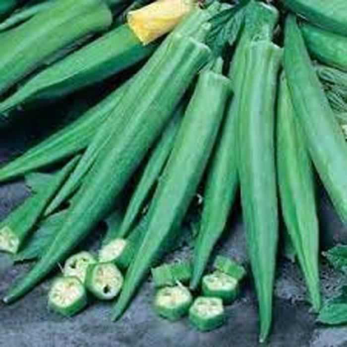 Graines De Pommier Jonagold USA - 40 Graines Bio Héritage - Pour Jardin, Verger