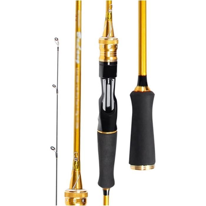 Canne à Pêche Télescopique Longueur 11m - Fibre De Carbone - Légère Et Portable - Avec Tips Et Cadeaux