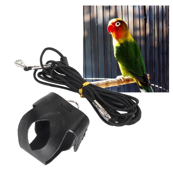 Comparer les prix de SED laisse de harnais de perroquet Harnais doiseau Laisse Combinaison de vol doiseau réglable respirante avec laisse pour