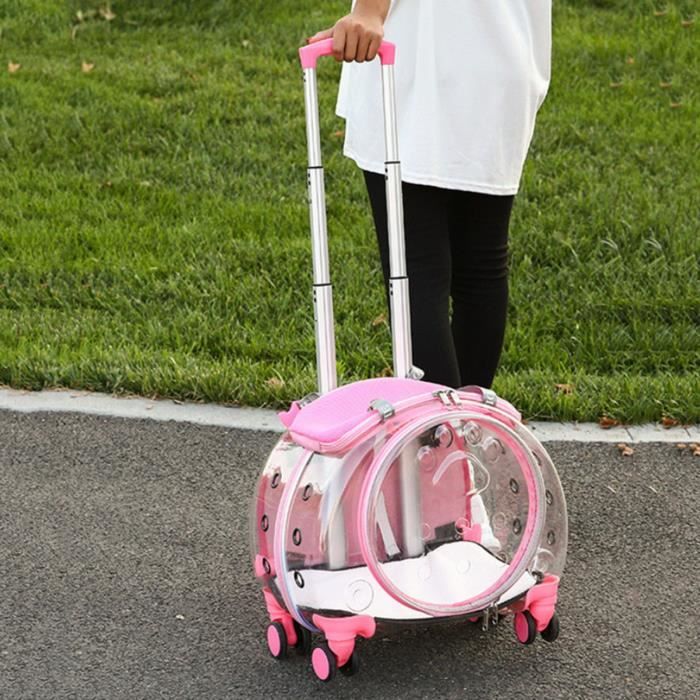 Meilleurs prix pour SMALIBAL - Valise de transport pour animaux de compagnie chiens, chats et animaux de compagnie Rose