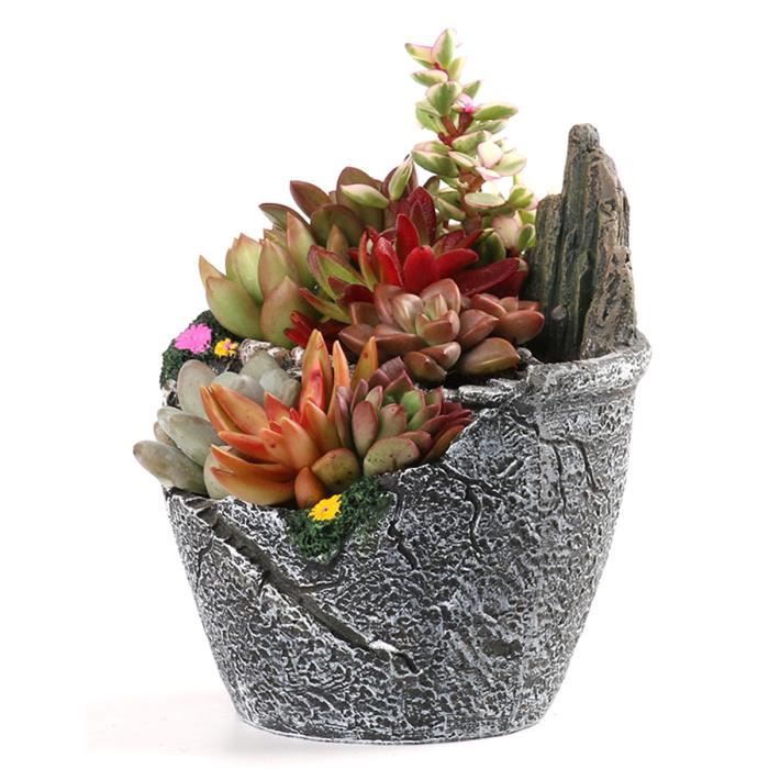 Plante Grasse Muret Pot Plante Grasse Fleur 12 5x10x8cm Anti Corrosion Resine Jardinage Rocaille Decor Achat Vente Jardiniere Bac A Fleur Pot Plante Rocaille Resine Cdiscount